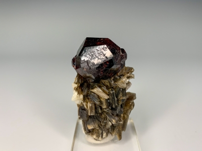 Spessartine Garnet on Muscovite from Shingus, Gilgit, Pakistan [db_pics/ZowaderUpdates/DZ0201a.jpg]
