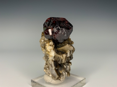 Spessartine Garnet on Muscovite from Shingus, Gilgit, Pakistan [db_pics/ZowaderUpdates/DZ0201b.jpg]