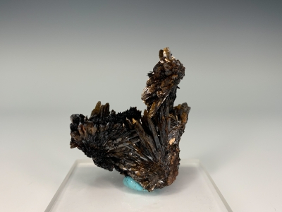 Goethite from Goethite #1 Mine, Park County, Colorado USA [db_pics/ZowaderUpdates/DZ0204b.jpg]