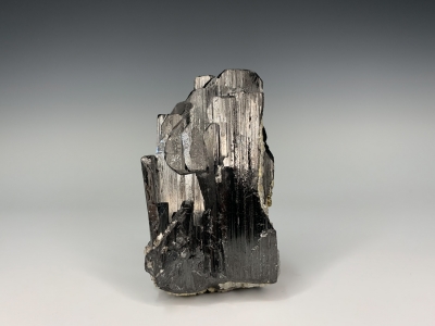 Wolframite from Panasqueira, Portugal [db_pics/ZowaderUpdates/DZ2409a.jpg]