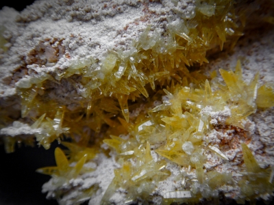 Mimetite from Tsumeb Mine, Tsumeb, Namibia [db_pics/update5/ML00292c.jpg]