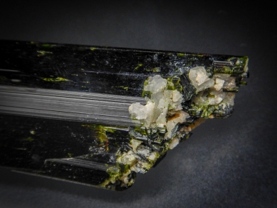 Epidote from Northern Frontier District, Kenya [db_pics/update5/ML00302b.jpg]