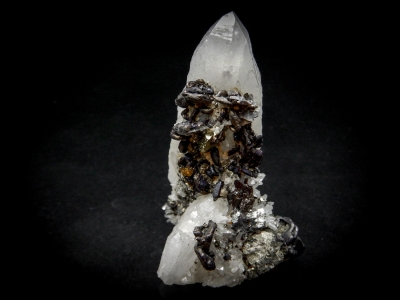 Semseyite & Chalcopyrite on Quartz from Cavnic, Crisana-Maramures, Romania [db_pics/update5/ML00311a.jpg]