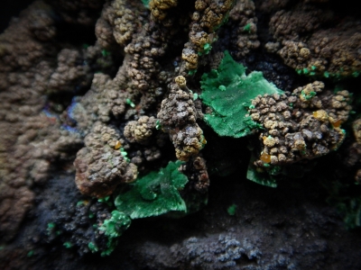 Wulfenite, Malachite & Beaverite(?) from Whim Creek Mine, Roenourne Shire, Western Australia, Australia [db_pics/update6/ML00401b.jpg]