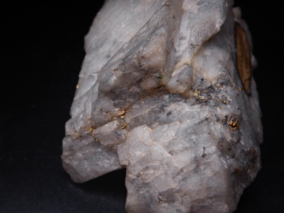 Gold in Quartz from Lydenberg, Transvaal, South Africa [db_pics/update6/ML00433b.jpg]