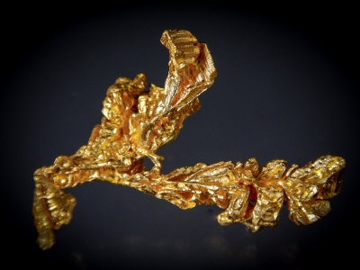 Gold from Serra do Caldeirão, Pontes e Lacerda, Mato Grosso, Brazil [db_pics/update7/ML00441b.jpg]