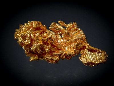 Gold from Serro do CaldeirÃ£o, Pontes e Lacerdo, Mato Grosso, Brazil [db_pics/update7/ML00446b.jpg]