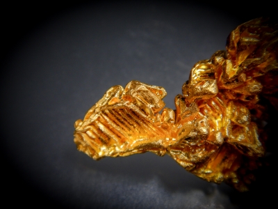 Gold from Serro do CaldeirÃ£o, Pontes e Lacerdo, Mato Grosso, Brazil [db_pics/update7/ML00446c.jpg]