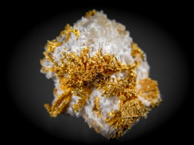 Gold from 10 Mile District, Nevada, USA [db_pics/update7/ML00456b.jpg]