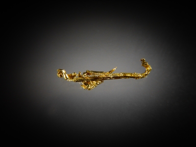 Gold from South Fork Feather River, Plumas County, California, USA [db_pics/update7/ML00463a.jpg]