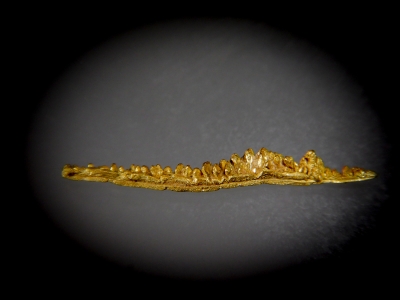 Gold from South Fork Feather River, Plumas County, California, USA [db_pics/update7/ML00465a.jpg]