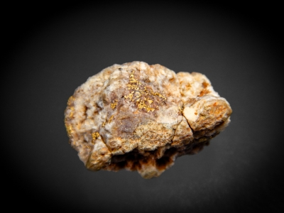 Gold from Tuscarora, Elko County, Nevada USA [db_pics/update7/ML00470b.jpg]