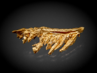 Palladium-Rich Gold from Near Icabaru, Gran Sabana, Venezuela [db_pics/update7/ML00483b.jpg]