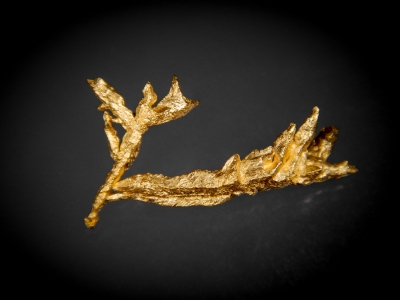 Palladium-Rich Gold from Near Icabaru, Gran Sabana, Venezuela [db_pics/update7/ML00485a.jpg]