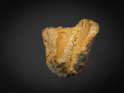 Gold from Manhatten Gulch, Nye County, Nevada, USA [db_pics/update7/ML00488b.jpg]