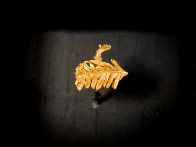 Palladium Rich Gold (Porpezite) from Serra Pelada, Curionopolis, Para, Brazil [db_pics/update7/ML00508a.jpg]