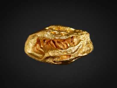 Gold from Zapata Mine, Icabaru, Gran Sabana, Venezuela [db_pics/update7/ML00519a.jpg]