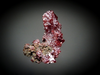 Proustite from Oberschlema, Erzgebirge, Saxony, Germany [db_pics/update7/ML00541a.jpg]