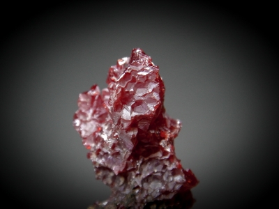 Proustite from Oberschlema, Erzgebirge, Saxony, Germany [db_pics/update7/ML00541b.jpg]