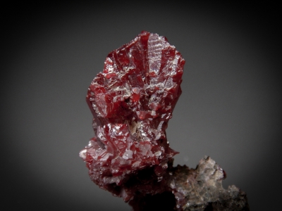 Proustite from Oberschlema, Erzgebirge, Saxony, Germany [db_pics/update7/ML00541c.jpg]