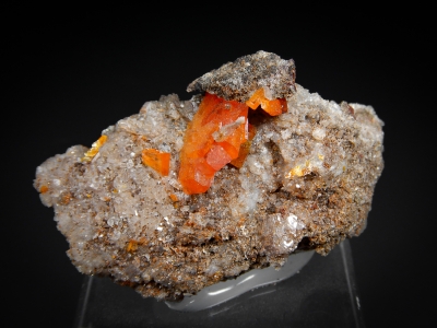 Wulfenite from Red Cloud Mine, Yuma County, Arizona, USA [db_pics/update7/ML00549a.jpg]