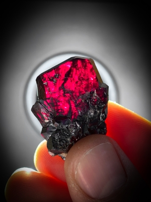 Pyrargyrite from Level 630, San Guillermo Vein, ProaÃ±o Mine, Fresnillo, Zacatecas, Mexico [db_pics/update7/ML00551d.jpg]