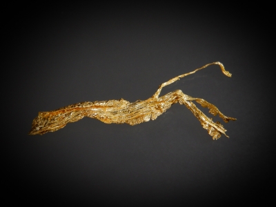 Gold from Round Mountain Mine, Nye County, Nevada, USA [db_pics/update7/ML00560a.jpg]