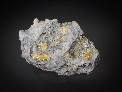 Gold in Arsenopyrite from Black Diamond Mine, Gibsonville District, Plumas County, California, USA [db_pics/update7/ML00601a.jpg]