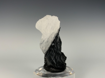 Jamesonite included Calcite from Herja, Romania [db_pics/update7/ML00638c.jpg]