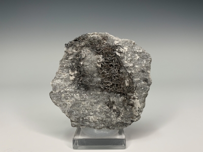 Silver from Kongsberg, Norway [db_pics/update7/ML00654a.jpg]