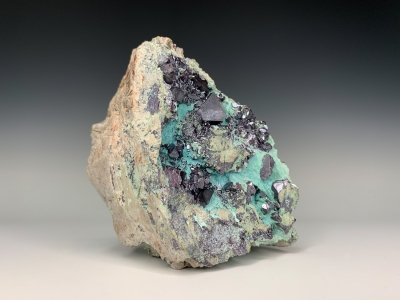 Cuprite on Chrysocolla from Mashamba West Mine, Kolwezi, Katanga, Democratic Republic of Congo [db_pics/update7/ML00658b.jpg]