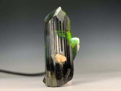 Elbaite from Barra Do Salinas Mine, Minas Gerais, Brazil [db_pics/update7/ML00674d.jpg]