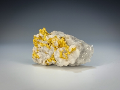 Gold from Eagles Nest Mine, Forest Hill District, Placer County, California, USA [db_pics/update7/ML00689b.jpg]