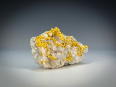 Gold from Eagles Nest Mine, Forest Hill District, Placer County, California, USA [db_pics/update7/ML00689d.jpg]