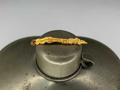 Gold from Undisclosed mine near Guelmim, Guelmim-Oued Noun Region, Morocco [db_pics/update7/ML00700a.jpg]