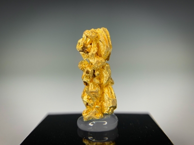 Gold from Guelmim-Oued Noun Region, Morocco [db_pics/update7/ML00715b.jpg]