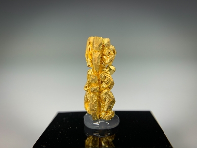 Gold from Guelmim-Oued Noun Region, Morocco [db_pics/update7/ML00715d.jpg]