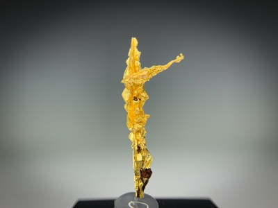 Gold from Guelmim-Oued Noun Region, Morocco [db_pics/update7/ML00716a.jpg]