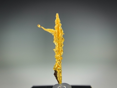 Gold from Guelmim-Oued Noun Region, Morocco [db_pics/update7/ML00716b.jpg]