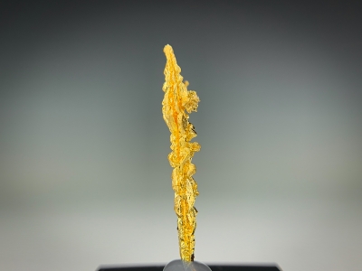 Gold from Guelmim-Oued Noun Region, Morocco [db_pics/update7/ML00716d.jpg]