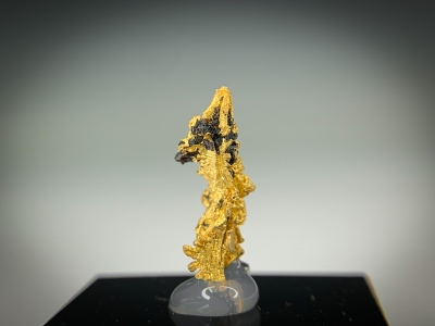 Gold from Guelmim-Oued Noun Region, Morocco [db_pics/update7/ML00717b.jpg]