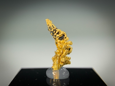 Gold from Guelmim-Oued Noun Region, Morocco [db_pics/update7/ML00717c.jpg]