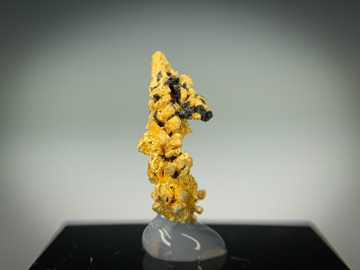 Gold from Guelmim-Oued Noun Region, Morocco [db_pics/update7/ML00717d.jpg]