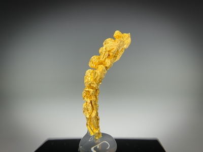 Gold from Guelmim-Oued Noun Region, Morocco [db_pics/update7/ML00720d.jpg]
