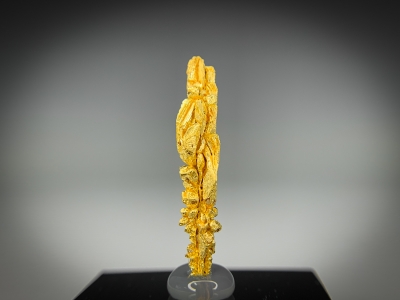 Gold from Guelmim-Oued Noun Region, Morocco [db_pics/update7/ML00721a.jpg]