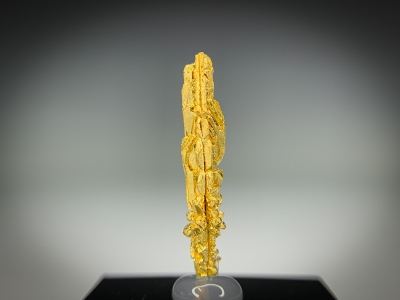 Gold from Guelmim-Oued Noun Region, Morocco [db_pics/update7/ML00721b.jpg]