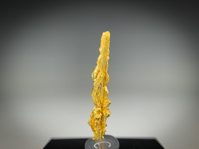 Gold from Guelmim-Oued Noun Region, Morocco [db_pics/update7/ML00721c.jpg]