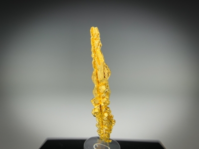 Gold from Guelmim-Oued Noun Region, Morocco [db_pics/update7/ML00721d.jpg]