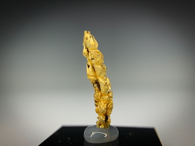 Gold from Guelmim-Oued Noun Region, Morocco [db_pics/update7/ML00722c.jpg]