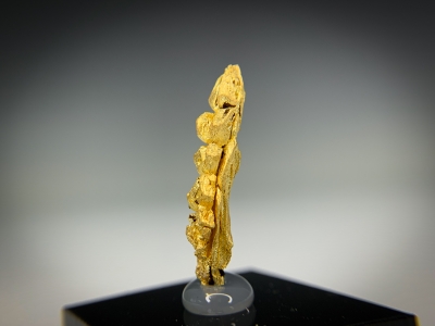 Gold from Guelmim-Oued Noun Region, Morocco [db_pics/update7/ML00722d.jpg]